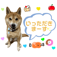 yuka_20250427094447