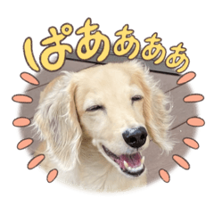 yuma_20250427111745