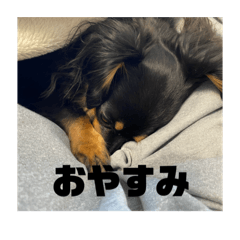 ruru_20250427114146