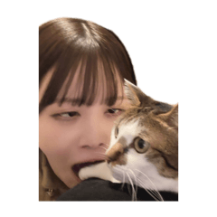 megu_20250427114316