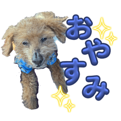 YUKINA_20250427120912
