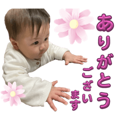 aoi_20250427121715