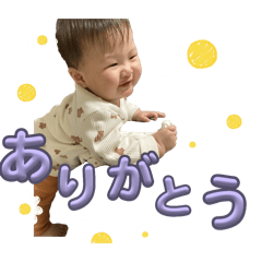 aoi_20250427122631