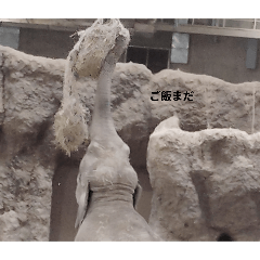 hanabi_20250427133653