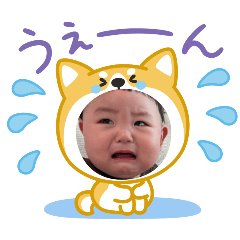 wata_20250427134720