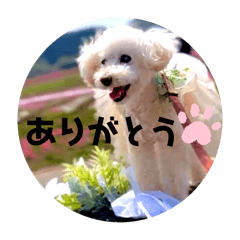 tomomi_20250427141258