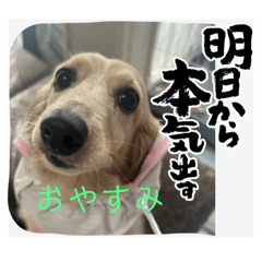 yuchiwansnyans