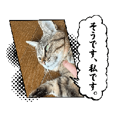 Link_20250426221028