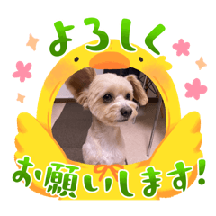 hitomi_20250426134505