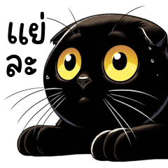 Cute chubby black cat (BIG) v.3