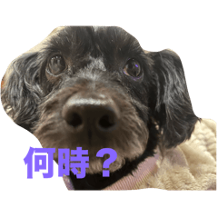 Rena_20250426155909