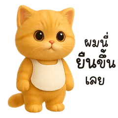 น้องแมวจ้ม