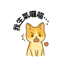Piggy Cat2