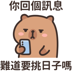 水豚君卡皮巴拉★快點回我啦