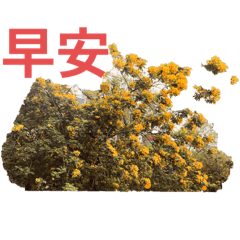 墨鏡哥貼圖