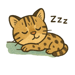 QQ leopard cat QQ