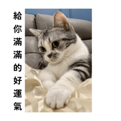 辛巴與露娜-第4集