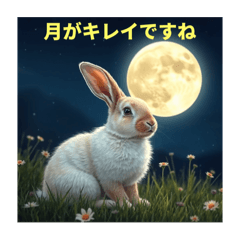 KMT_20250425043133
