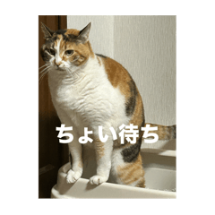 Ry_20250427144828