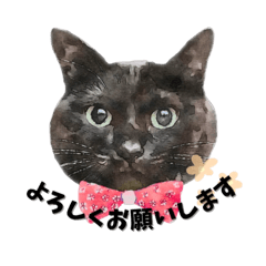 保護猫スタンプ（水彩画ver.）
