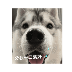 Husky Krul's Motion Graphics 2