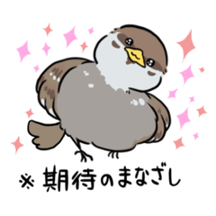 nono_20250425145935