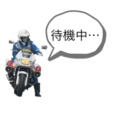 taro_20250426185755