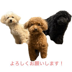 Annie Connie Teddy 2