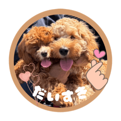 marinco_20250426192903