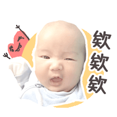 肉包楷楷
