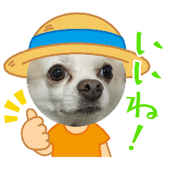 Yuka_20250427183320