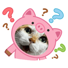 aki_20250427190000