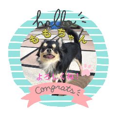 YUI_20250427162508