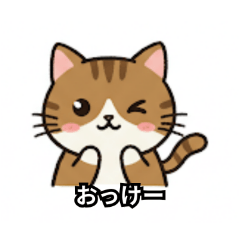 KT_20250425162147