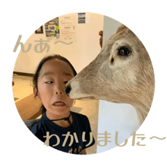 kj_20250427194943