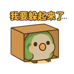 綠麻糬鸚鵡01