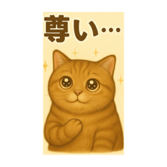 Fanny cat daily