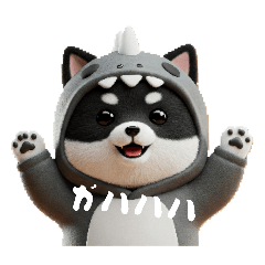 kawasiba_20250425190138