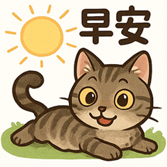 Daily Cat Phrases