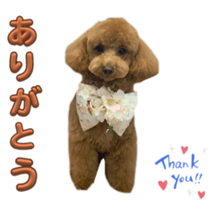 kurumi_20250427175736