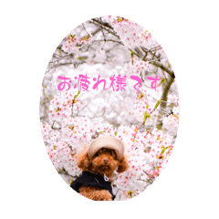 Rei_20250427181320