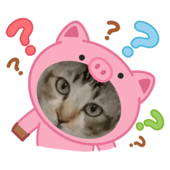 Cattt and cat