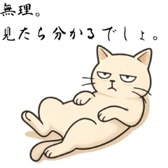 Nyalu-sama, the Legendary Lazy Cat