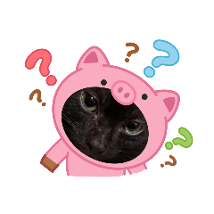 貓咪狗狗圖