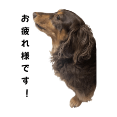 maco_20250426002358