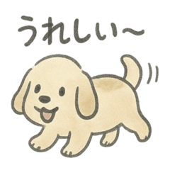Mohuo DOG