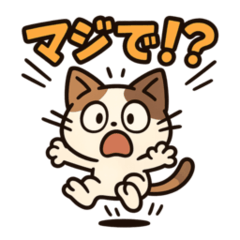 Whimsical Daily Cat Sticker
