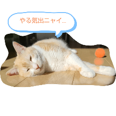 anzu_20250427184244