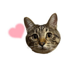Ranmaru stickers