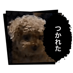 yu_20250427203834